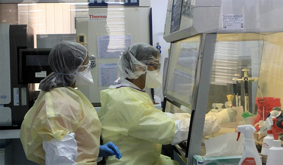 Coronavirus